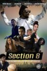 Section 8 Movie Streaming Online