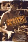 Shrapnels in Peace Movie Streaming Online