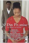 30 Day Promise Movie Streaming Online