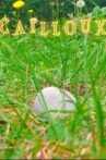 Cailloux Movie Streaming Online