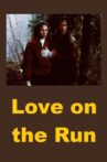 Love on the Run Movie Streaming Online