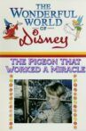 The Pigeon That Worked a Miracle Movie Streaming Online
