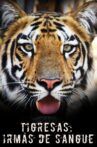 Tigress Blood Movie Streaming Online