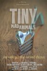 Tiny Mad Animals Movie Streaming Online