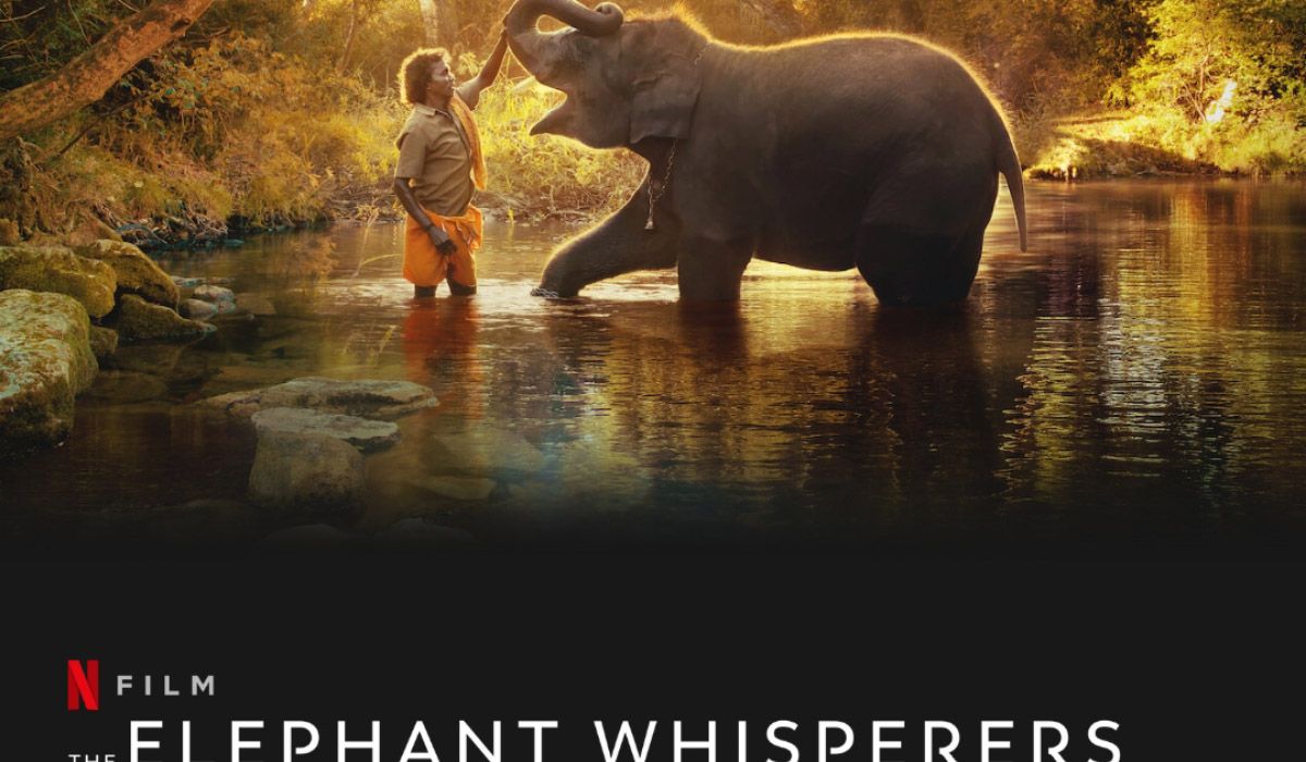 The Elephant Whisperers Tamil Movie Streaming Online Watch on Netflix