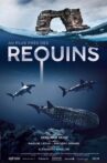 Au plus près des requins Movie Streaming Online