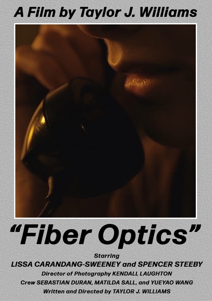 Fiber Optics Movie Streaming Online Watch