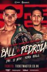 Nick Ball vs Rafael Pedroza Movie Streaming Online