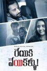 Reyiki Veyi Kallu Movie Streaming Online