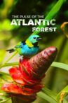 The Pulse of the Atlantic Forest Movie Streaming Online