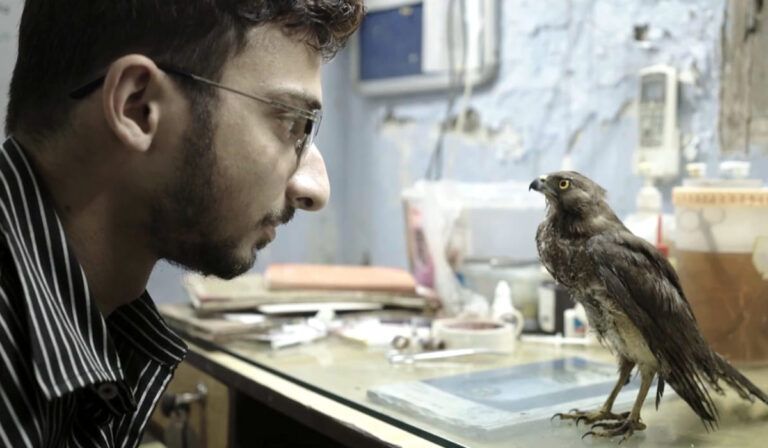 Indian Film All That Breathes Wins Gotham Award; How To Watch It?