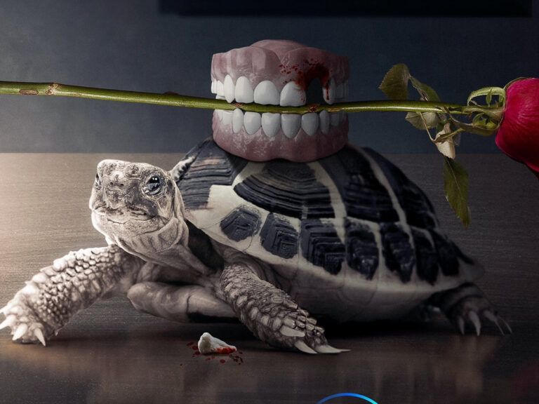 Kartik Aaryan’s ‘Freddy’ Teaser Is An Enthralling State Of Affair