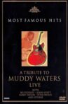 A Tribute to Muddy Waters - Live Movie Streaming Online
