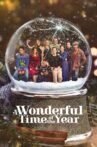 A Wonderful Time of the Year Movie Streaming Online