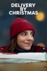 Delivery by Christmas Movie Streaming Online