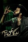 Gaalodu Movie Streaming Online