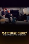 Matthew Perry—The Diane Sawyer Interview Movie Streaming Online