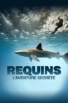Requins, l'aventure secrète Movie Streaming Online