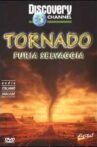 Storm forces tornadoes Movie Streaming Online
