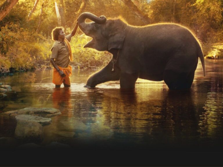 A Terrible Dubbing Error Netflix Made In The Elephant Whisperers!