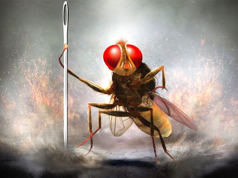 This Rajamouli Film Is Coming To Netflix Soon, Don’t Miss It