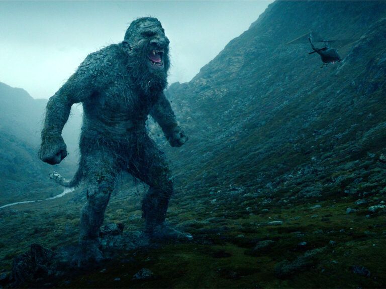 Troll Trending High Thus Questioning Netflix’s Selective Policy