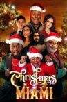 Christmas in Miami Movie Streaming Online