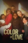Color of Love Movie Streaming Online