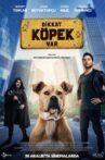 Dikkat Köpek Var Movie Streaming Online