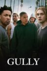 Gully Movie Streaming Online