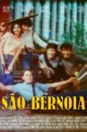 São Bernoia Movie Streaming Online