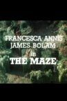 The Maze Movie Streaming Online