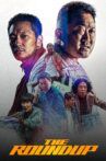 The Roundup Movie Streaming Online
