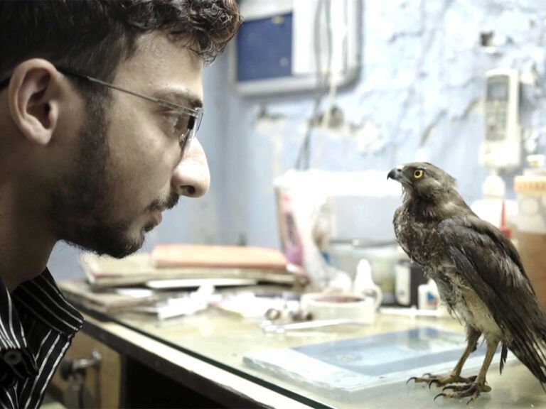 Not RRR, This Indian Film Got Nominated At BAFTA 2023!