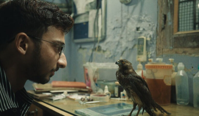 Oscar Nominated All That Breathes Coming Soon To OTT! Find Out