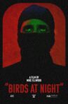 Birds at Night Movie Streaming Online