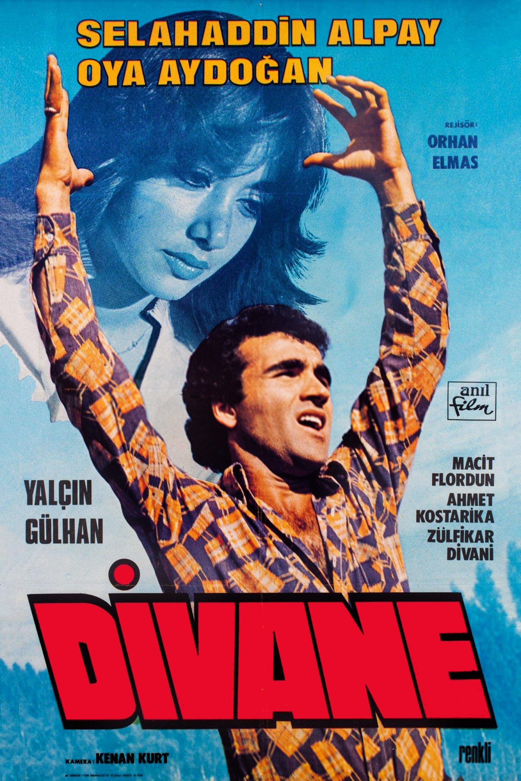 Divane Ne Demek? Divane Nedir? Divane Anlamı – ODBGJM