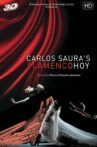 Flamenco Hoy de Carlos Saura Movie Streaming Online