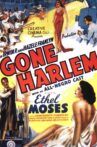 Gone Harlem Movie Streaming Online
