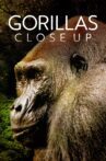 Gorillas Close Up Movie Streaming Online