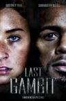 Last Gambit Movie Streaming Online