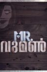 MR. WOMAN Movie Streaming Online