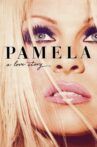 Pamela, A Love Story Movie Streaming Online