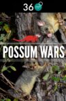 Possum Wars Movie Streaming Online