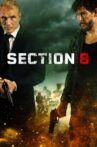 Section 8 Movie Streaming Online