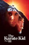 The Karate Kid Part III Movie Streaming Online