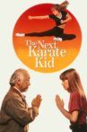 The Next Karate Kid Movie Streaming Online
