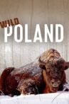 Wild Poland Movie Streaming Online