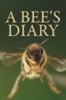 A Bee's Diary Movie Streaming Online