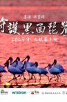 Caring for Black-Faced Spoonbill Movie Streaming Online